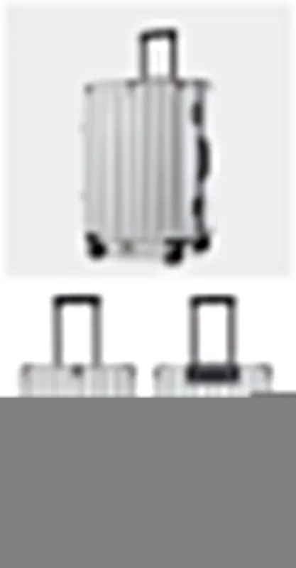 Aluminum Alloy Hard-Shell Suitcase with TSA Lock -20" Spinner Luggage in Silver