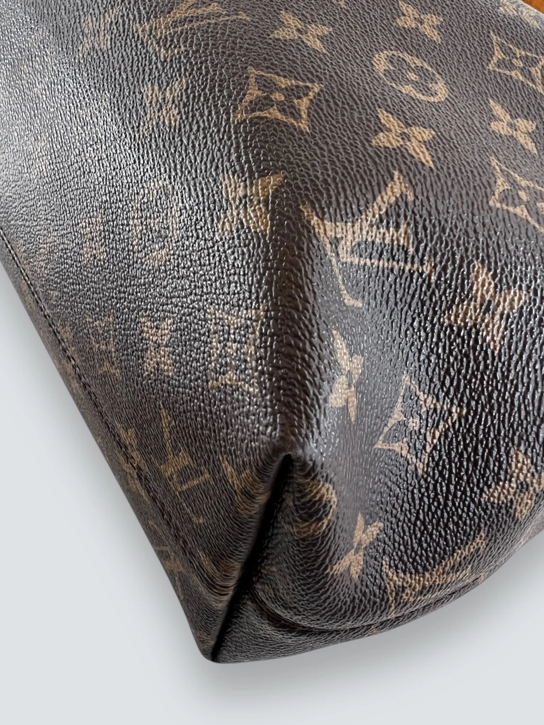 Louis Vuitton Monogram Canvas "Graceful" Hobo