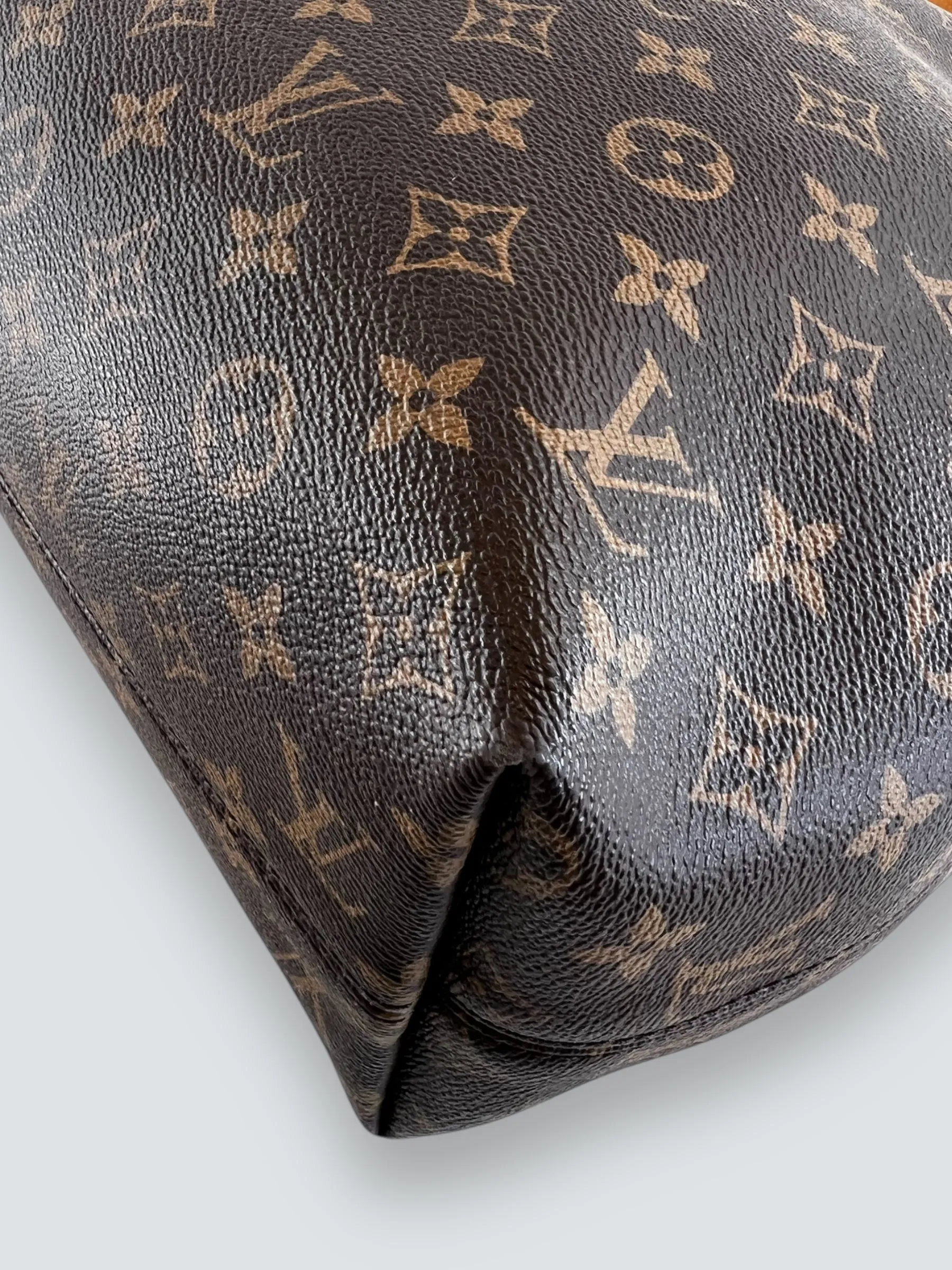 Louis Vuitton Monogram Canvas "Graceful" Hobo