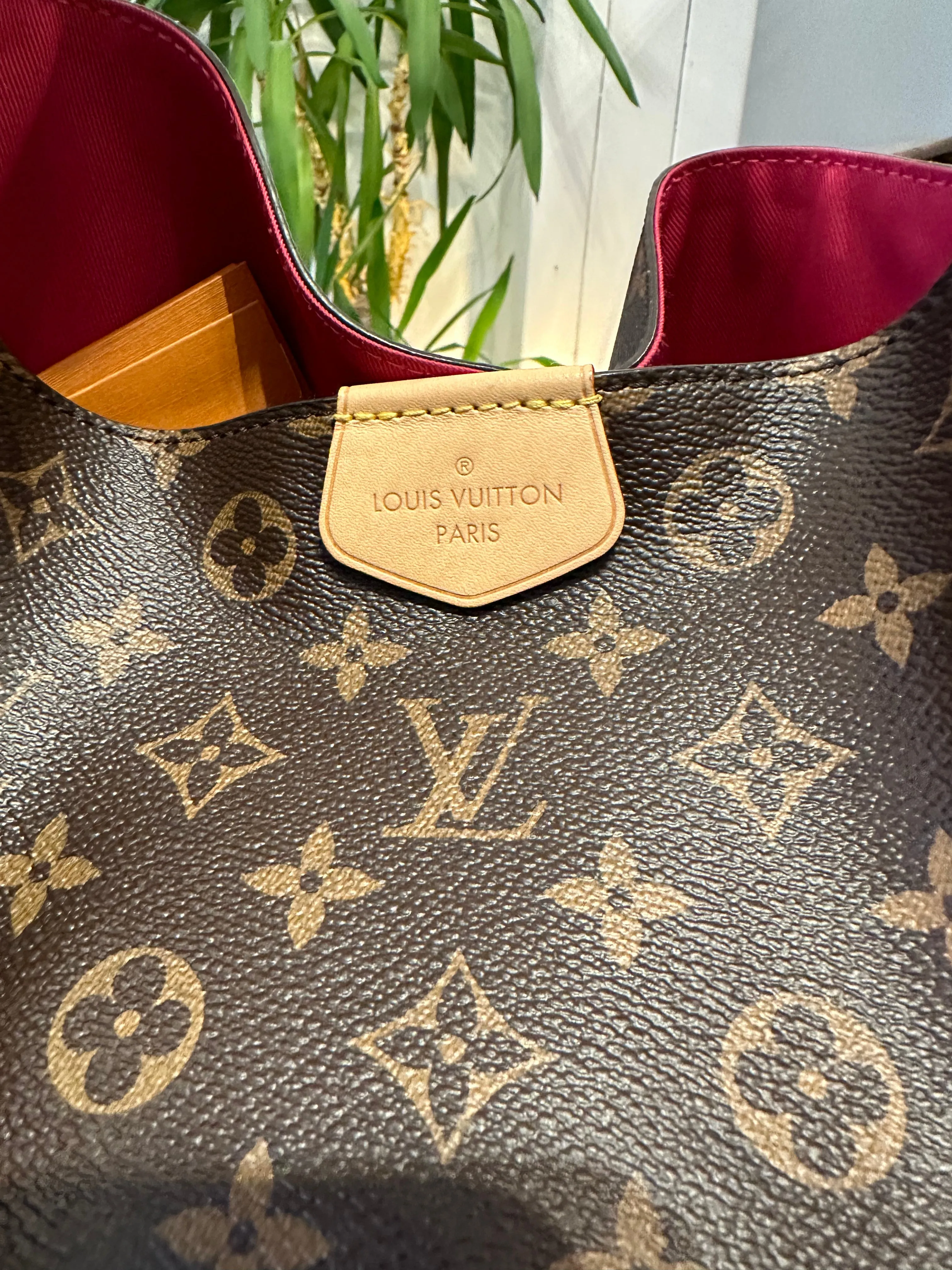 Louis Vuitton Monogram Graceful MM Hobo